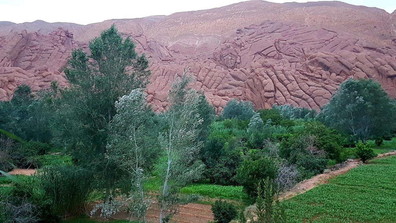 Tamellalt  Auberge Kasbah Ait Marghad מראה חיצוני תמונה