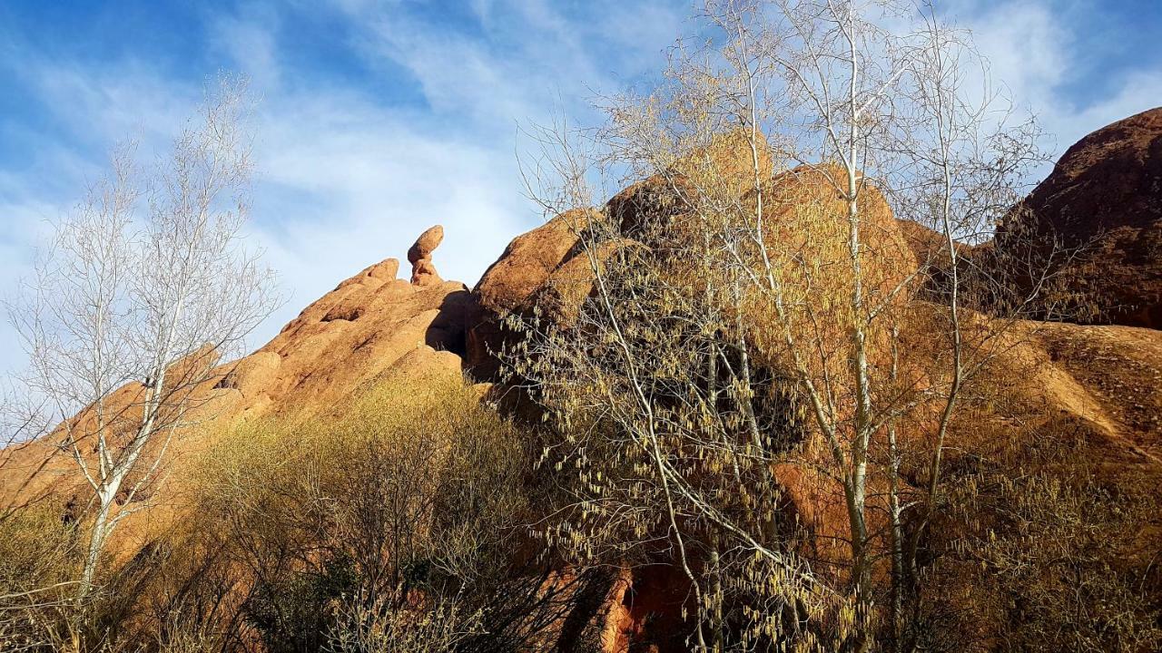 Tamellalt  Auberge Kasbah Ait Marghad מראה חיצוני תמונה