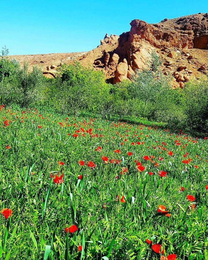 Tamellalt  Auberge Kasbah Ait Marghad מראה חיצוני תמונה
